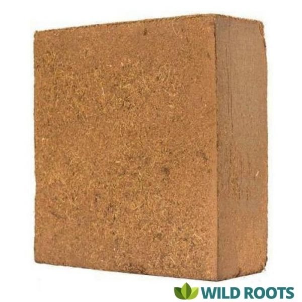 buy coco peat online from www.wildroots.in