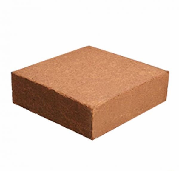 buy coco peat online from www.wildroots.in