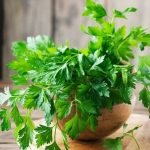 buy Parsley Plant online from www.wildroots.in