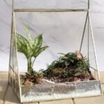 Triangle Glass House Terrarium (Big)