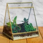 Triangle Glass House Terrarium (Small)