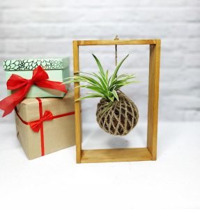 Kokedama frame