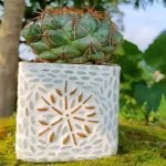 Textured Cubic Thick Glass Planter