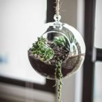 Hanging Round Glass Terrarium With Arrangement