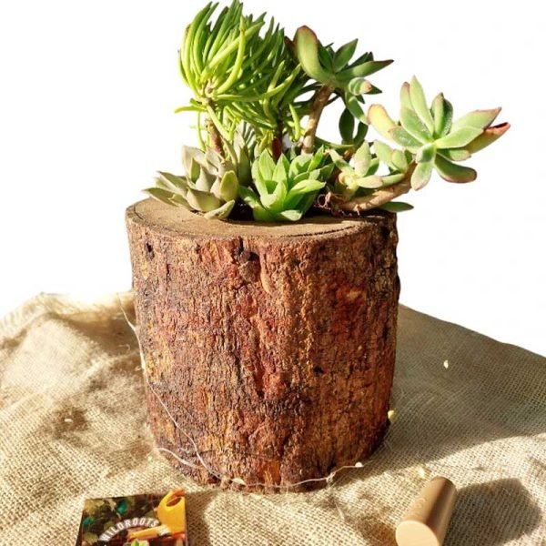 Cylindrical Wooden Log Planter